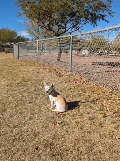 Huckleberry Park - Las Vegas, NV