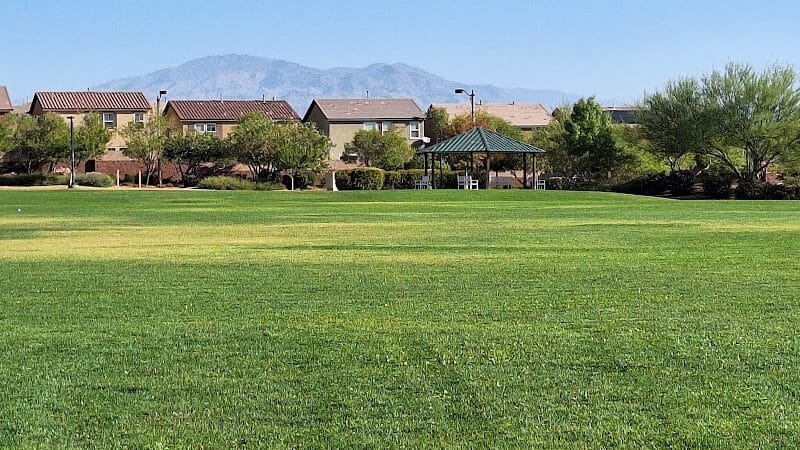 Knickerbocker Park - Las Vegas, NV