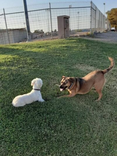 Nellis Meadows Park - Las Vegas, NV