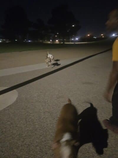 Nellis Meadows Park - Las Vegas, NV