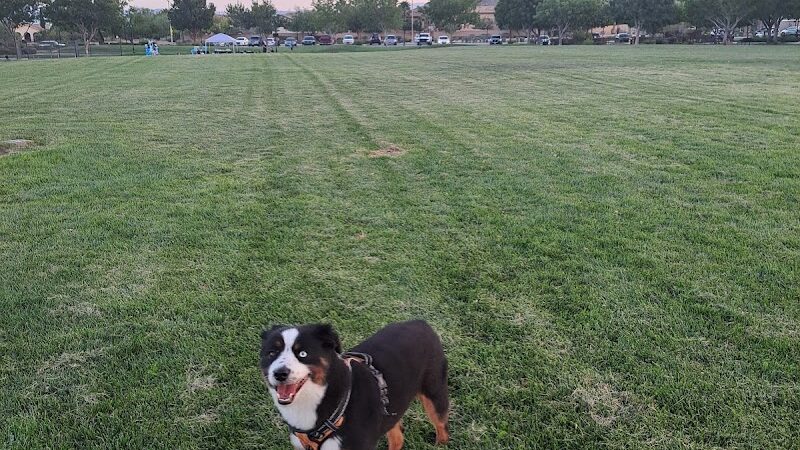 Paseos Park - Las Vegas, NV