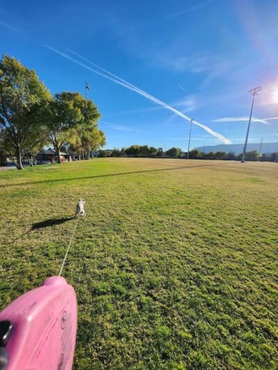 Spotted Leaf Park - Las Vegas, NV