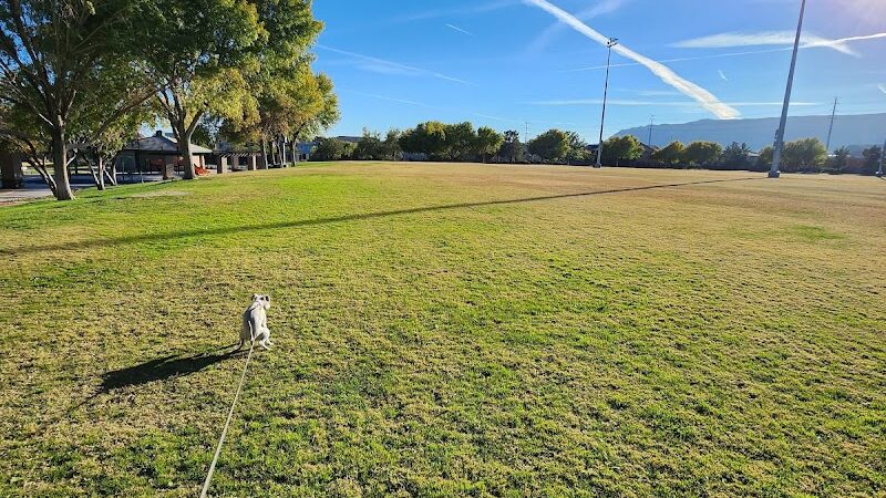 Spotted Leaf Park - Las Vegas, NV