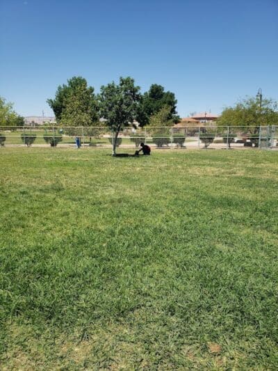 Spring Valley Community Park - Las Vegas, NV