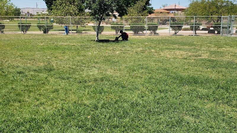 Spring Valley Community Park - Las Vegas, NV