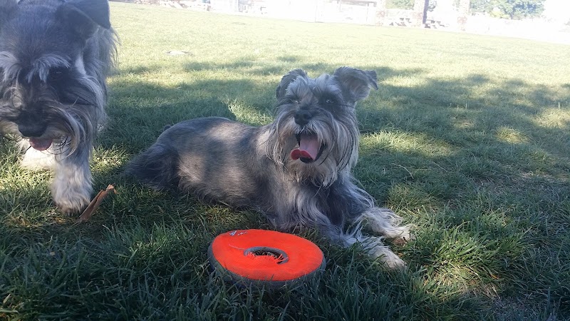 Sunset Dog Park - Las Vegas, NV