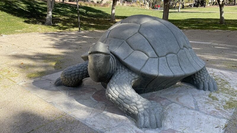The Willows Park & Pool - Las Vegas, NV