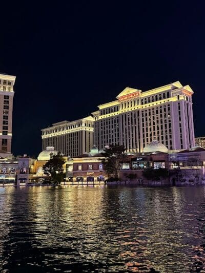 Vdara Dog Park - Las Vegas, NV