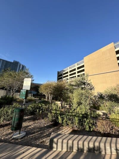 Vdara Dog Park - Las Vegas, NV