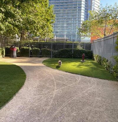 Vdara Dog Park - Las Vegas, NV