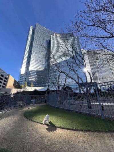 Vdara Dog Park - Las Vegas, NV