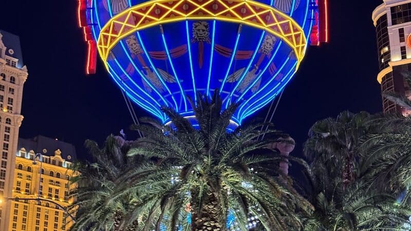 Vdara Dog Park - Las Vegas, NV