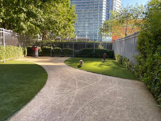 Vdara Dog Park - Las Vegas, NV