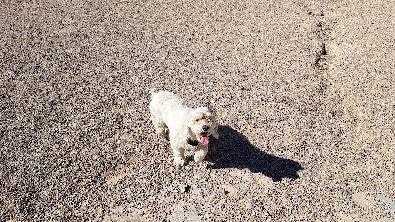 Winding Trails Park - Las Vegas, NV