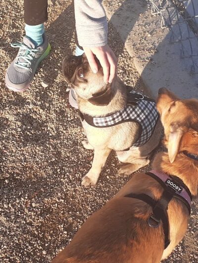 Woofter Family Park - Las Vegas, NV
