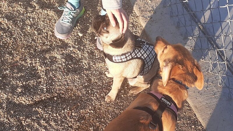 Woofter Family Park - Las Vegas, NV