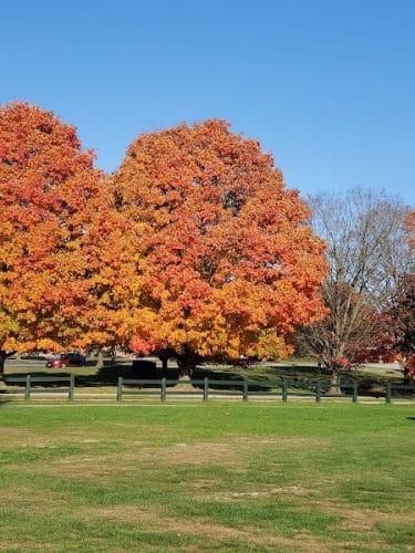 Legion Keener Park