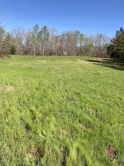 Cliff Pitts WMA parking - Laurens, SC