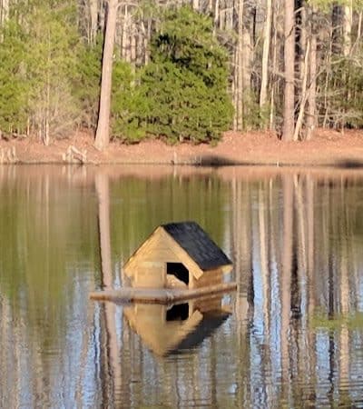 Laurens County Park - Laurens, SC