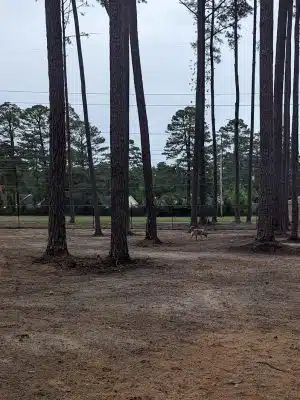 Laurinburg Dog Park - Laurinburg, NC