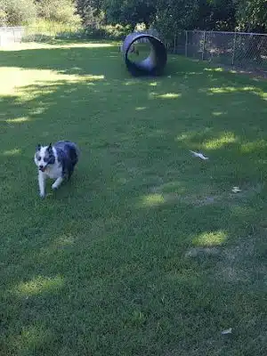 Mitzi L. Sweet Memorial Dog Park