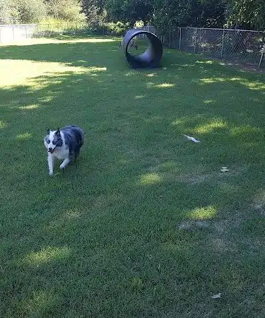 Mitzi L. Sweet Memorial Dog Park - Lawrenceburg, TN
