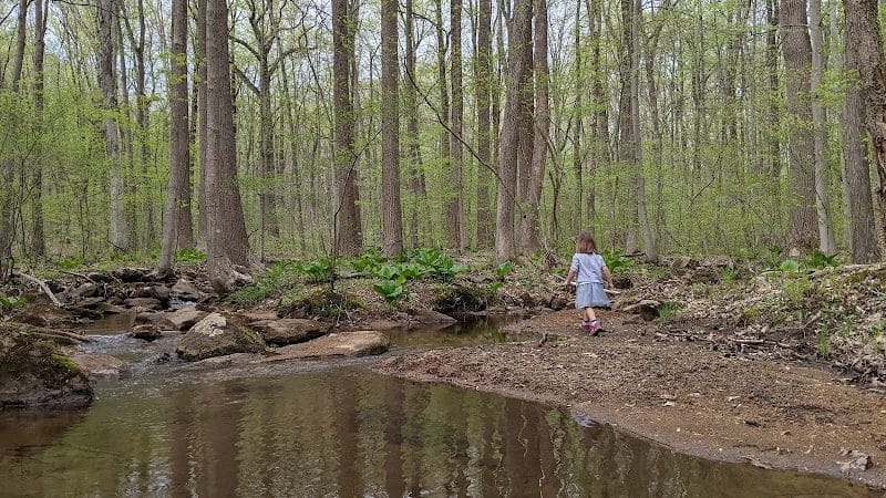 Morris Canal Park - Ledgewood, NJ