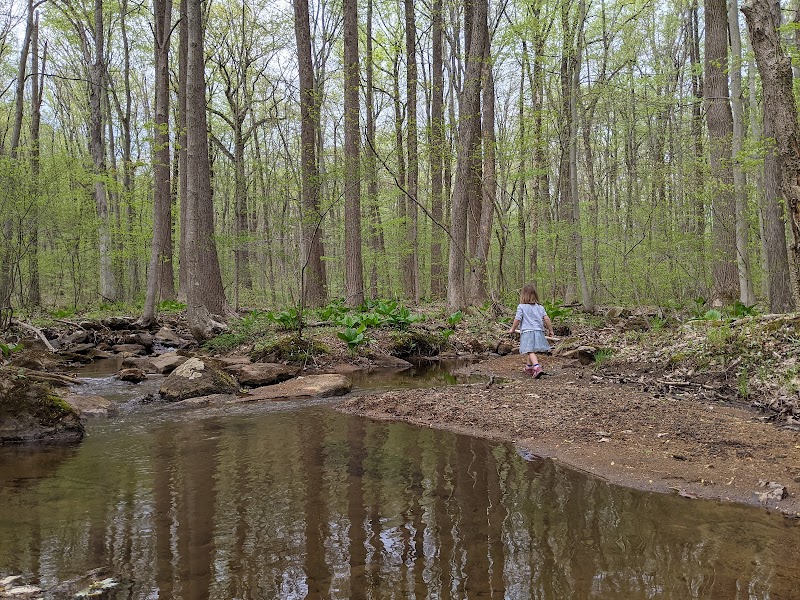 Morris Canal Park - Ledgewood, NJ