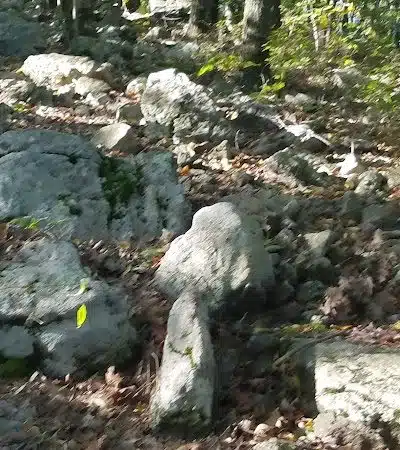 Morris Canal Park - Ledgewood, NJ