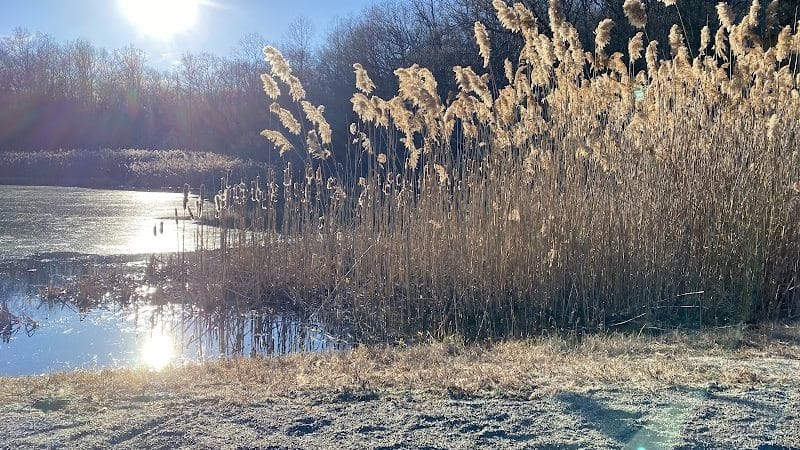 Morris Canal Park - Ledgewood, NJ