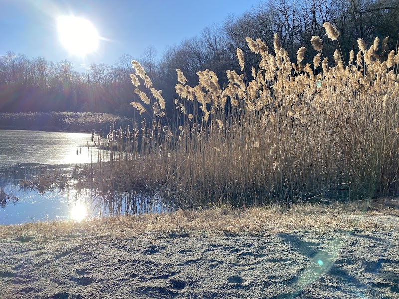 Morris Canal Park - Ledgewood, NJ