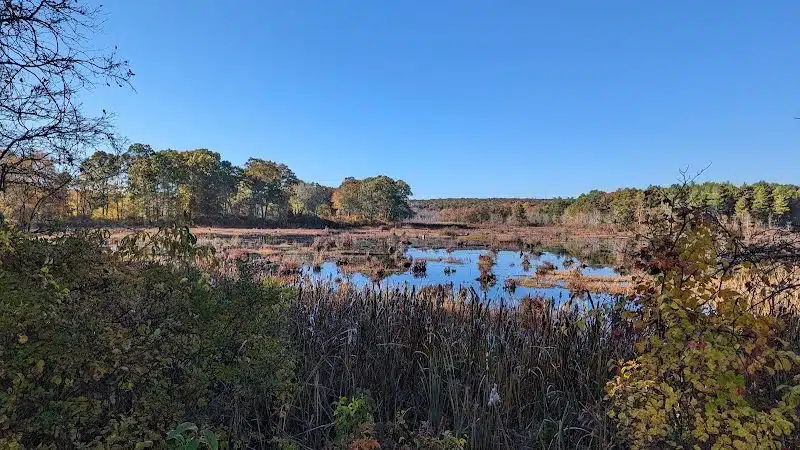 Avery Farm Nature Preserve - Ledyard, CT