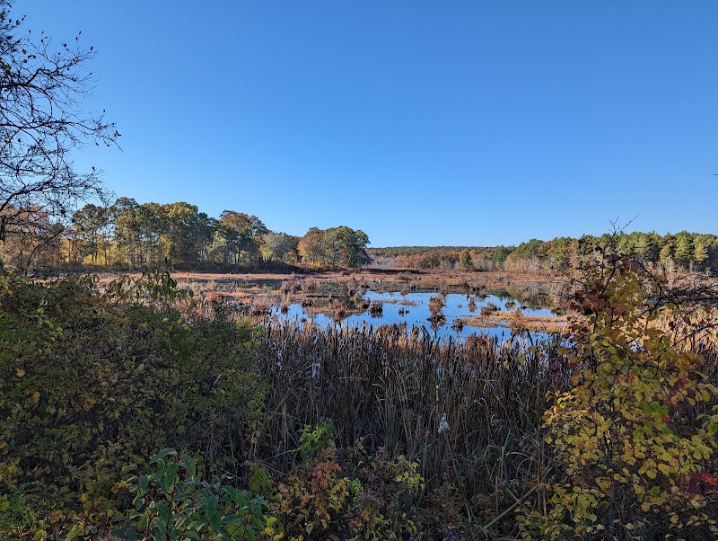 Avery Farm Nature Preserve - Ledyard, CT