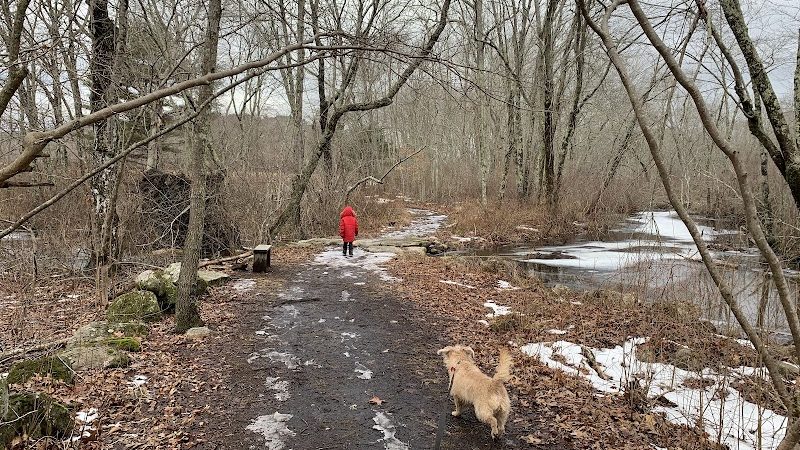 Avery Farm Nature Preserve - Ledyard, CT