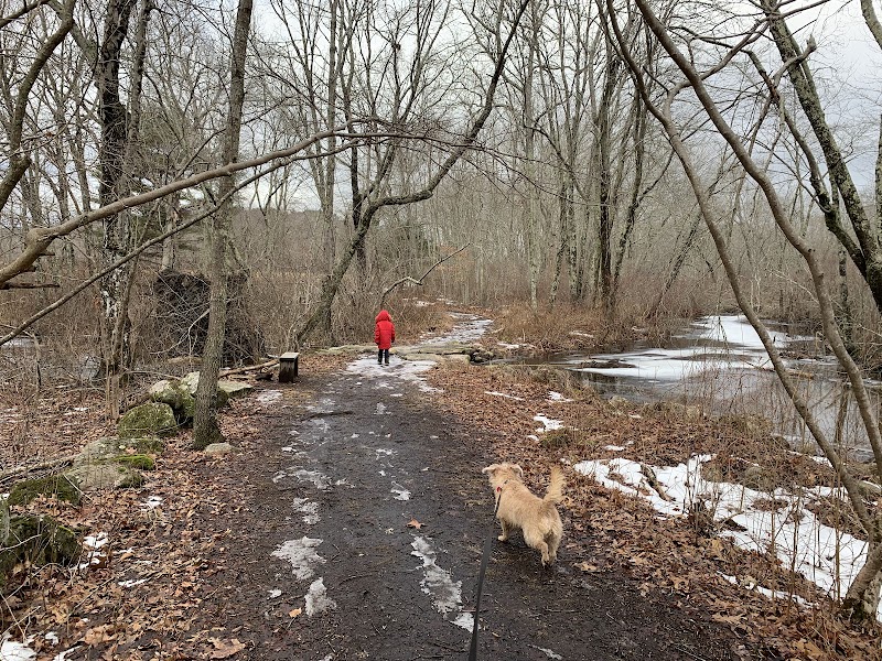 Avery Farm Nature Preserve - Ledyard, CT