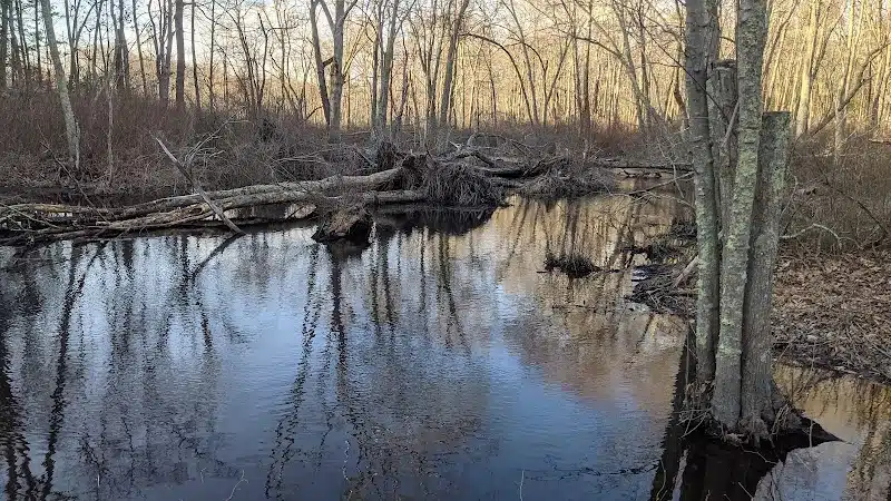 Avery Farm Nature Preserve - Ledyard, CT