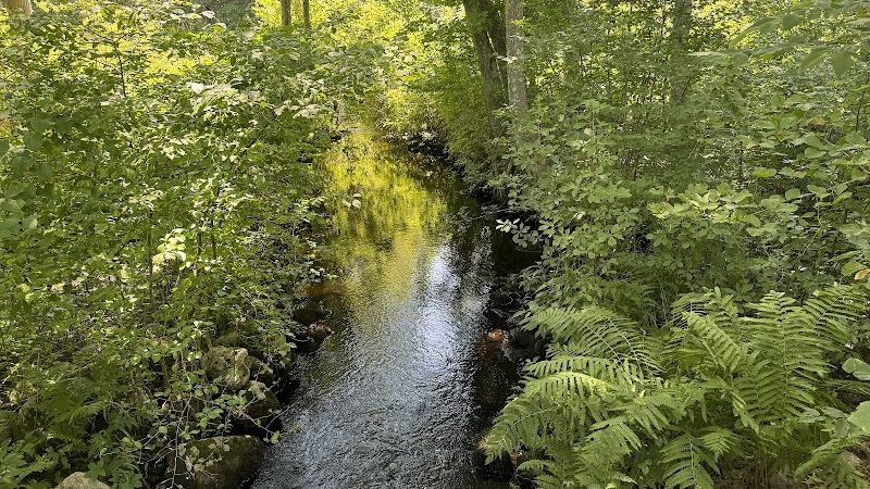 Avery Farm Nature Preserve - Ledyard, CT