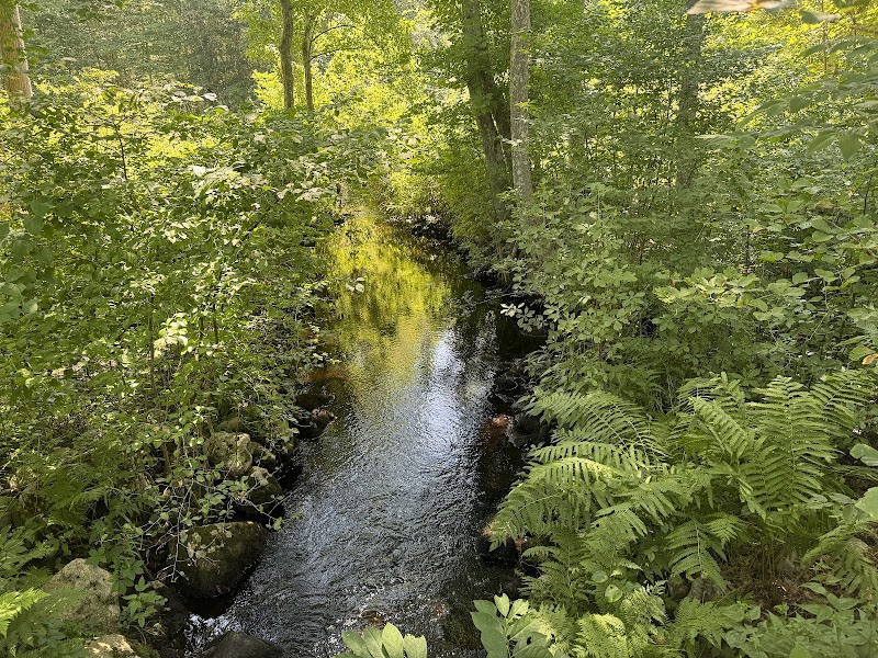 Avery Farm Nature Preserve - Ledyard, CT