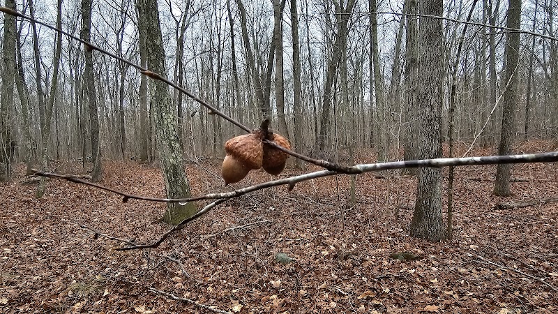 Colonel Ledyard Park - Ledyard, CT