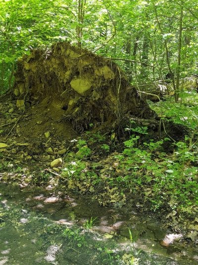Colonel Ledyard Park - Ledyard, CT