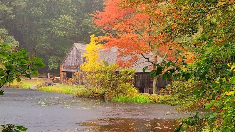 Sawmill Park - Ledyard, CT
