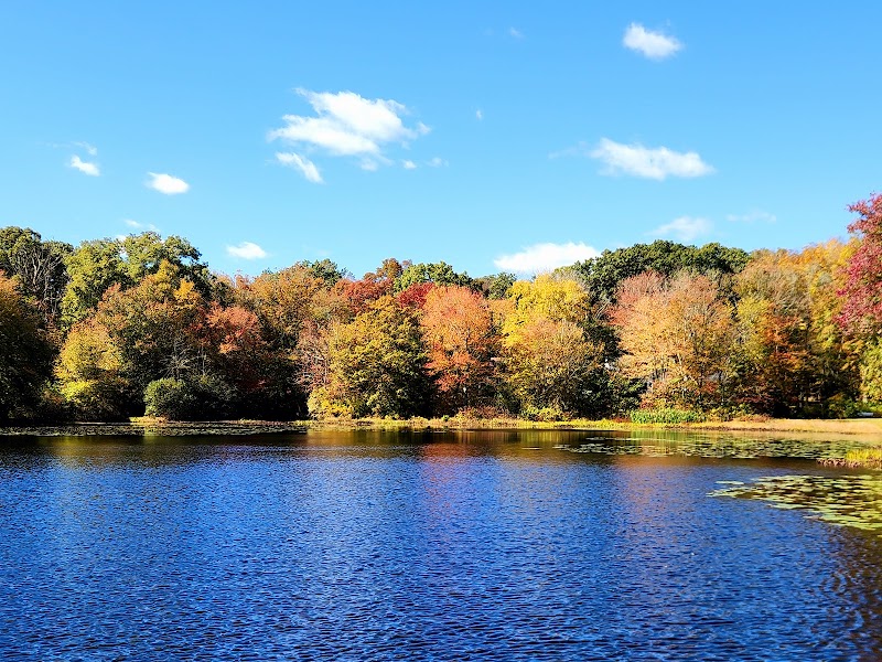 Sawmill Park - Ledyard, CT