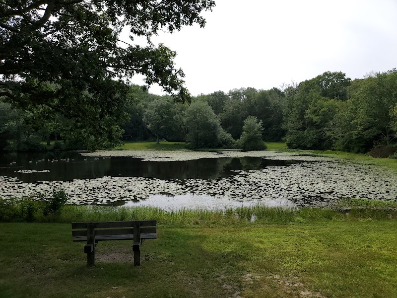 Sawmill Park - Ledyard, CT