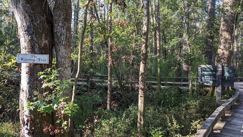 Brunswick Forest Boardwalk - Leland, NC