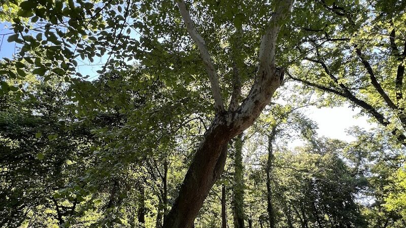 Mill Creek Streamway Park - Lenexa, KS