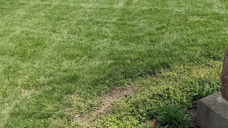 Bradshaw Park - Lenexa, KS