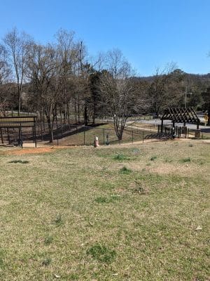 Dog Park