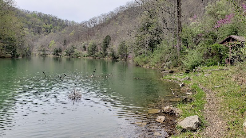 Laurel Lake WMA - Lenore, WV