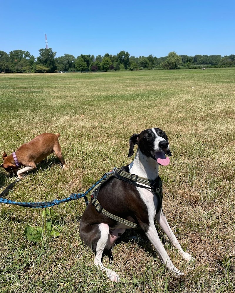 Overpeck Dog Park - Leonia, NJ
