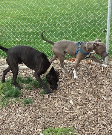 Penny's Memorial Dog Park
